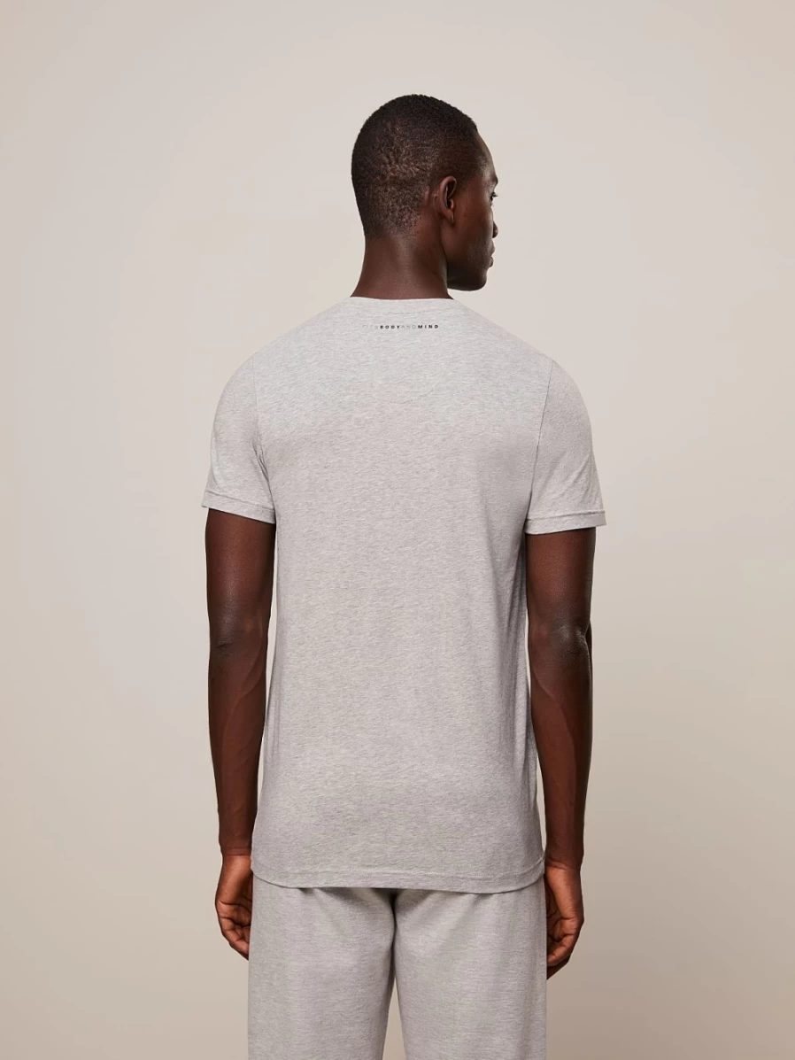 AlphaTauri Men's Classic Taurex® V-Neck T-Shirt - Grey Melange Casual Tee